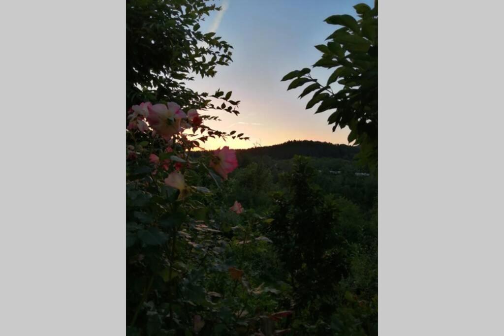 Nachhaltiges Wohnen In Seenaehe Schoemberg  Exterior foto